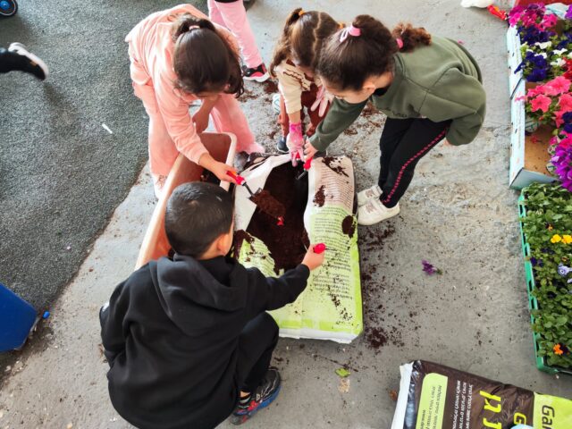 f4117eec-35fb-4a37-8b4e-477059740278
